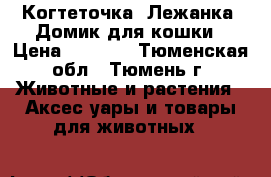 Когтеточка. Лежанка. Домик для кошки › Цена ­ 1 800 - Тюменская обл., Тюмень г. Животные и растения » Аксесcуары и товары для животных   